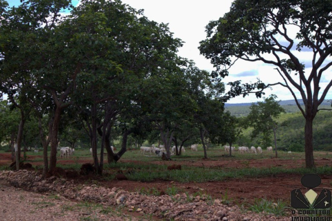 Imagem Imóvel à Venda, 20.000 m² em Fazendinhas Guará - Jequitibá Imagem Imóvel à Venda, 20.000 m² em Fazendinhas Guará - Jequitibá