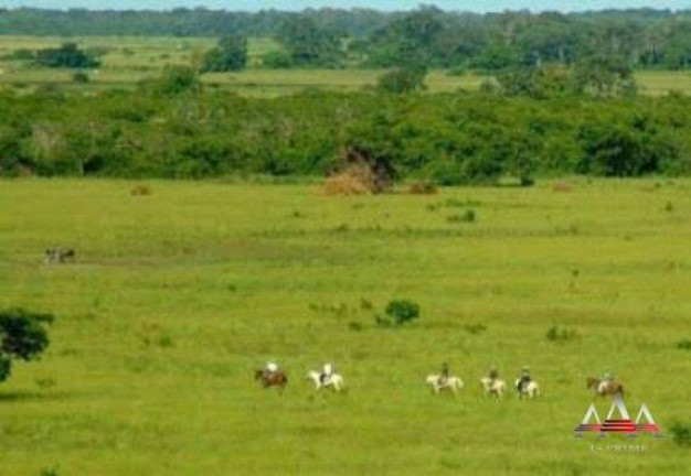 Imagem Fazenda à Venda, 92 m² em Zona Rural De Poconé - Poconé Imagem Fazenda à Venda, 92 m² em Zona Rural De Poconé - Poconé