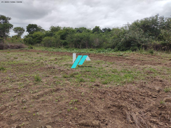 Imagem Fazenda à Venda, 82 m² em Zona Rural - Santo Hipólito Imagem Fazenda à Venda, 82 m² em Zona Rural - Santo Hipólito