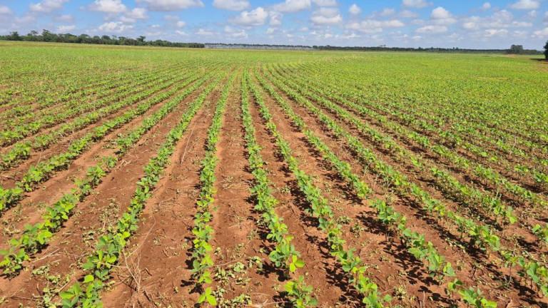 Imagem Imóvel à Venda, 9.680.000 m² em Rural - Bataguassu Imagem Imóvel à Venda, 9.680.000 m² em Rural - Bataguassu