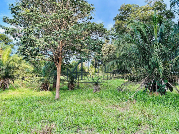 Imagem Chácara à Venda, em Professor Jamil Imagem Chácara à Venda, em Professor Jamil
