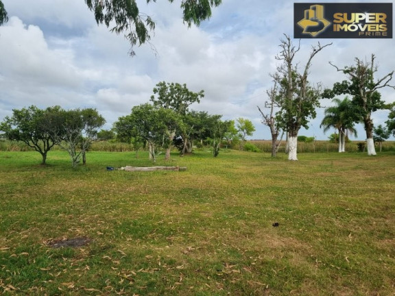 Imagem Imóvel com 2 Quartos à Venda, 14.700.000 m² em Quinta - Rio Grande