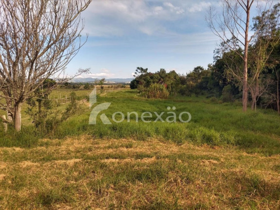 Imagem Chácara com 1 Quarto à Venda, 300 m² em Bairro Marambaia - Caçapava Imagem Chácara com 1 Quarto à Venda, 300 m² em Bairro Marambaia - Caçapava