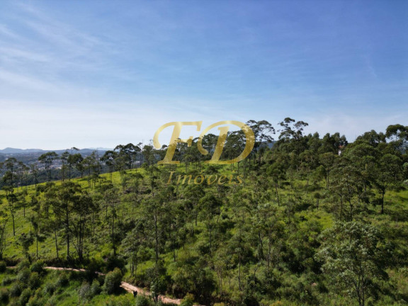 Imagem Imóvel Comercial à Venda, 380.000 m² em Terra Preta - Mairiporã Imagem Imóvel Comercial à Venda, 380.000 m² em Terra Preta - Mairiporã