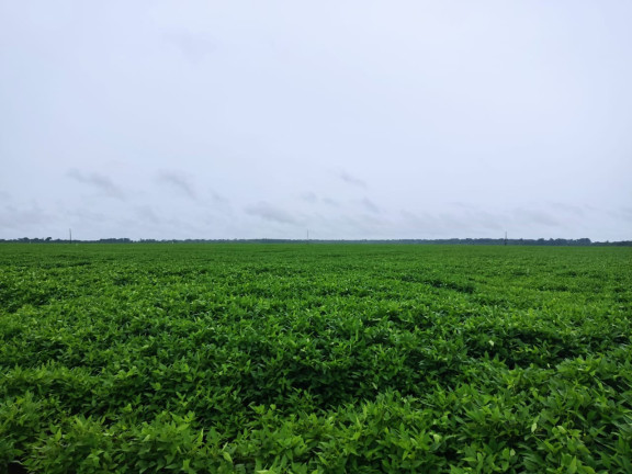 Imagem Imóvel à Venda, 409 m² em área Rural De Porto Alegre Do Norte - Porto Alegre Do Norte Imagem Imóvel à Venda, 409 m² em área Rural De Porto Alegre Do Norte - Porto Alegre Do Norte