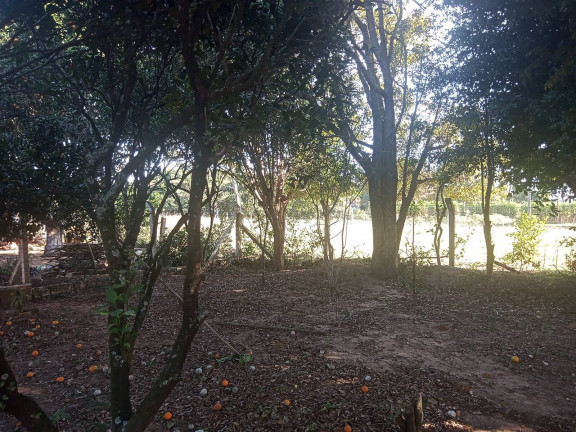 Imagem Casa com 2 Quartos à Venda, 504 m² em águas Claras - Viamão
