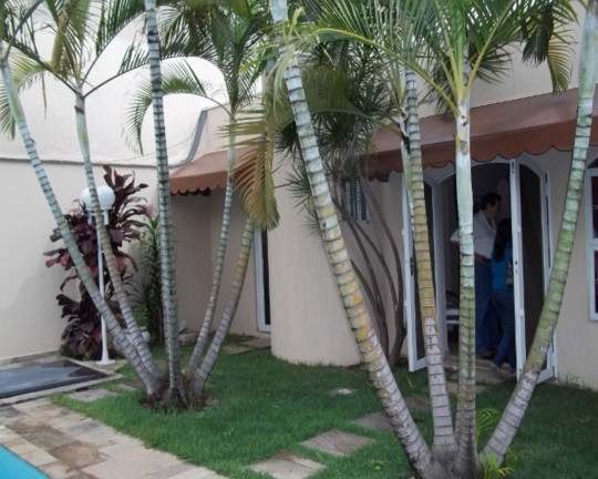 Imagem Casa com 3 Quartos à Venda, 500 m² em Indianópolis - São Paulo Imagem Casa com 3 Quartos à Venda, 500 m² em Indianópolis - São Paulo