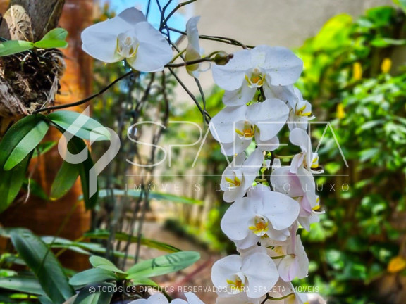 Imagem Casa com 3 Quartos à Venda,  em Portal Do Paraíso - Jundiaí