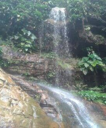 Imagem Chácara à Venda, 750.000 m² em Presidente Figueiredo Imagem Chácara à Venda, 750.000 m² em Presidente Figueiredo