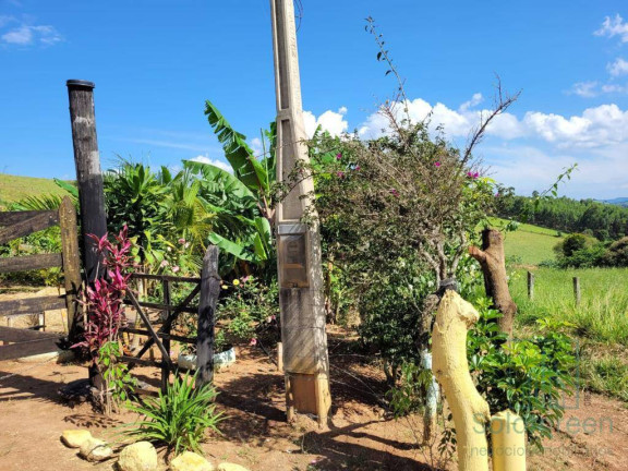 Imagem Chácara com 4 Quartos à Venda, 90 m² em Recanto Bosque - Socorro Imagem Chácara com 4 Quartos à Venda, 90 m² em Recanto Bosque - Socorro