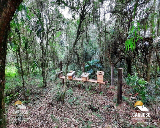Imagem Fazenda à Venda, 125.000 m² em águas Claras - Viamão Imagem Fazenda à Venda, 125.000 m² em águas Claras - Viamão