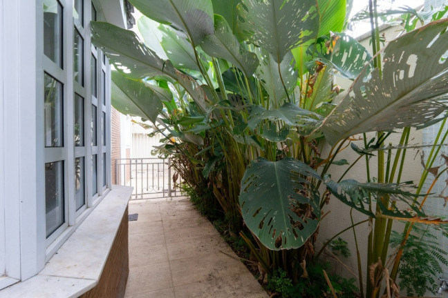 Imagem Casa com 5 Quartos à Venda, 424.220 m² em Jardim Petrópolis - São Paulo Imagem Casa com 5 Quartos à Venda, 424.220 m² em Jardim Petrópolis - São Paulo