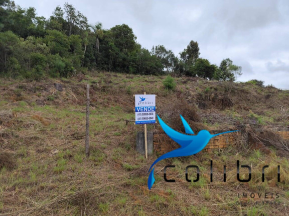 Imagem Chácara à Venda, 1.626 m² em Ximbuva - Agudos Do Sul Imagem Chácara à Venda, 1.626 m² em Ximbuva - Agudos Do Sul