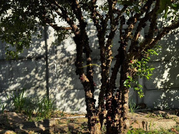 Imagem Casa com 4 Quartos à Venda, 1.484 m² em Jardim Do Ribeirão I - Itupeva Imagem Casa com 4 Quartos à Venda, 1.484 m² em Jardim Do Ribeirão I - Itupeva