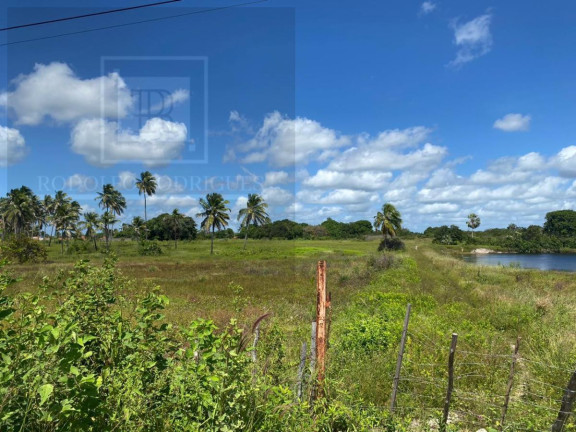 Imagem Terreno à Venda, 244.858 m² em Sucatinga - Beberibe