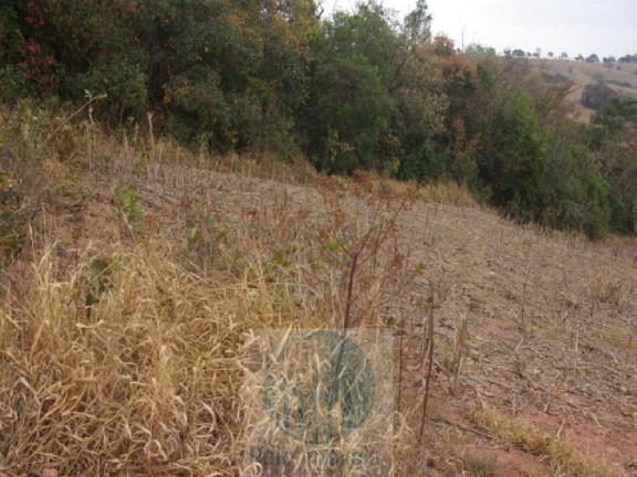 Imagem Imóvel à Venda, 96.800 m² em Zona Rural - Jacui
