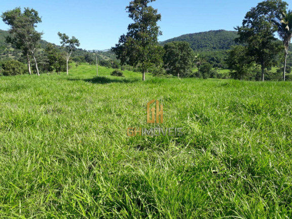 Imagem Chácara à Venda, 338.800 m² em Area Rural - Novo Brasil Imagem Chácara à Venda, 338.800 m² em Area Rural - Novo Brasil
