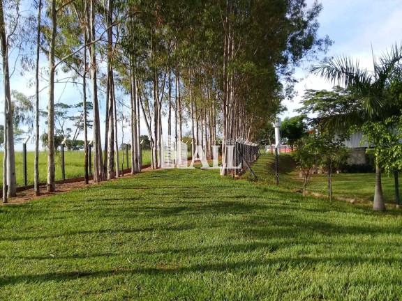 Imagem Fazenda à Venda, 500 m² em Centro - Bálsamo Imagem Fazenda à Venda, 500 m² em Centro - Bálsamo