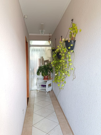 Imagem Sobrado com 3 Quartos à Venda, 160 m² em Vila Gumercindo - São Paulo Imagem Sobrado com 3 Quartos à Venda, 160 m² em Vila Gumercindo - São Paulo