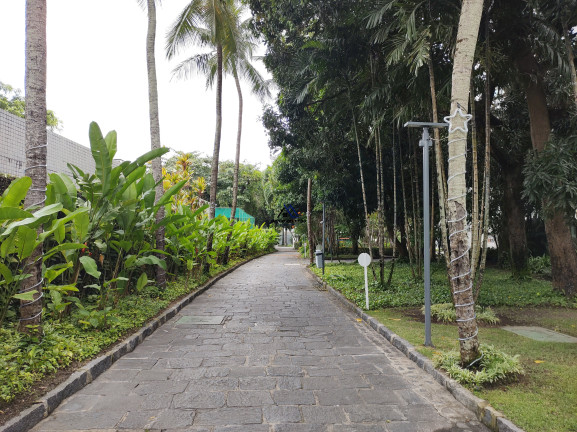 Imagem Apartamento com 4 Quartos para Alugar, 234 m² em Monteiro - Recife