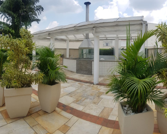 Imagem Apartamento com 3 Quartos à Venda, 75 m² em Vila Cruzeiro - São Paulo