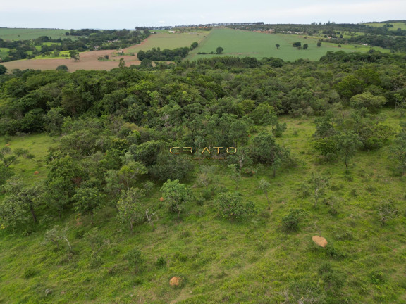 Imóvel à Venda, 96.000 m² em Distrito Agroindustrial De Anápolis - Anápolis
