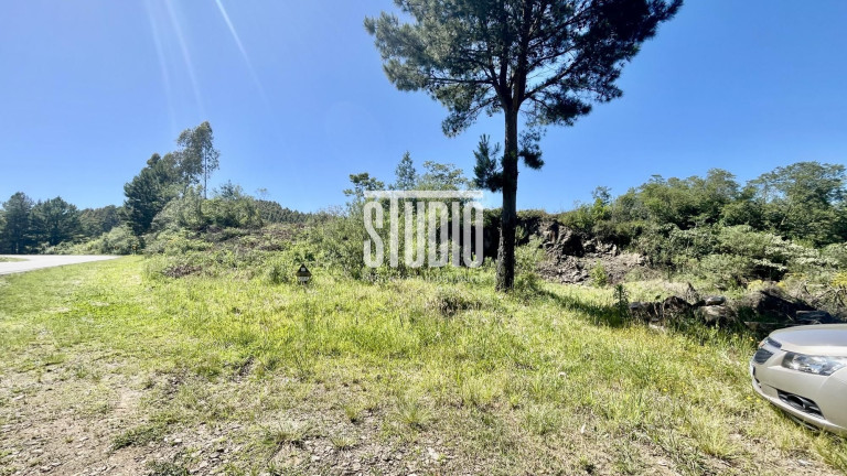 Imagem Terreno à Venda, 11.990 m² em Operário - Barão Imagem Terreno à Venda, 11.990 m² em Operário - Barão