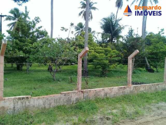 Imagem Fazenda à Venda, 500 m² em Guanaces - Cascavel Imagem Fazenda à Venda, 500 m² em Guanaces - Cascavel