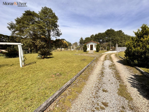 Imagem Chácara com 4 Quartos à Venda, 7.700 m² em Loteamento Chácara Chantecler - Piraquara