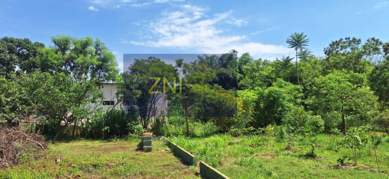 Imagem Chácara com 5 Quartos à Venda, 4.068 m² em Jardim Do Trevo - Ribeirão Preto