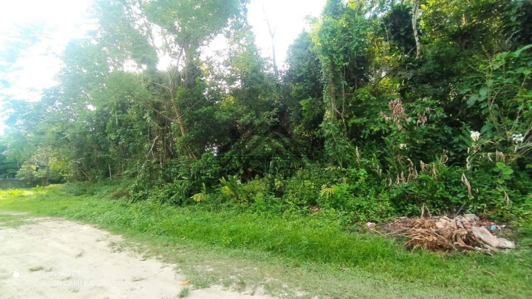 Imagem Chácara à Venda, 1.000 m² em Parque Novaro Itanhaém - Itanhaém Imagem Chácara à Venda, 1.000 m² em Parque Novaro Itanhaém - Itanhaém