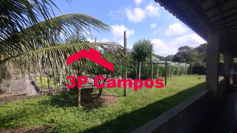 Imagem Chácara com 3 Quartos à Venda, 2.430 m² em Agenor De Campos - Mongaguá Imagem Chácara com 3 Quartos à Venda, 2.430 m² em Agenor De Campos - Mongaguá
