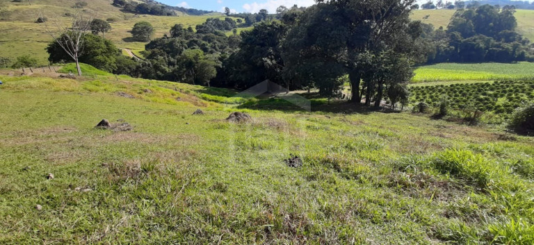 Imagem Imóvel à Venda, 3 m² em Milho Verde - Bandeira Do Sul Imagem Imóvel à Venda, 3 m² em Milho Verde - Bandeira Do Sul