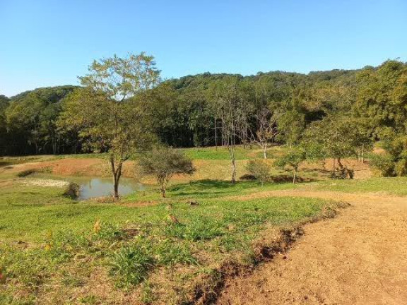 Imagem Imóvel com 4 Quartos à Venda, 68.000 m² em Centro - Morretes Imagem Imóvel com 4 Quartos à Venda, 68.000 m² em Centro - Morretes