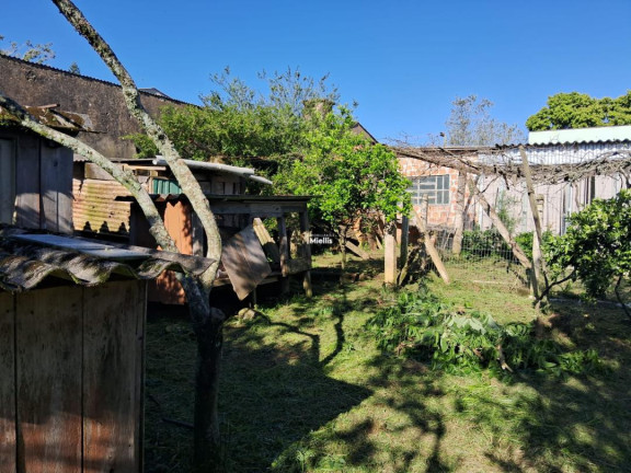 Imagem Casa com 3 Quartos à Venda, 110 m² em Krahe - Viamão Imagem Casa com 3 Quartos à Venda, 110 m² em Krahe - Viamão