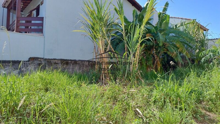 Imagem Terreno à Venda, 170 m² em Pedregulho - Guaratinguetá Imagem Terreno à Venda, 170 m² em Pedregulho - Guaratinguetá