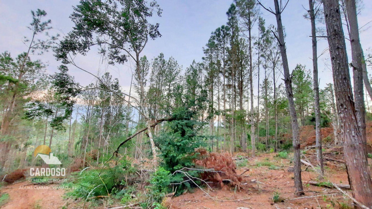 Imagem Fazenda à Venda, 46.000 m² em águas Claras - Viamão Imagem Fazenda à Venda, 46.000 m² em águas Claras - Viamão