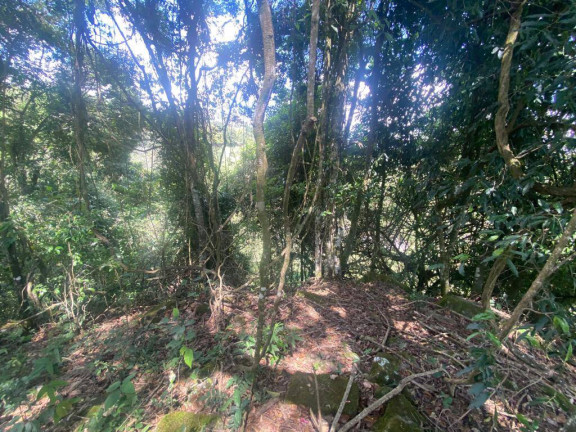 Imagem Terreno à Venda, 3 m² em Santa Terezinha De Minas - Itatiaiuçu Imagem Terreno à Venda, 3 m² em Santa Terezinha De Minas - Itatiaiuçu