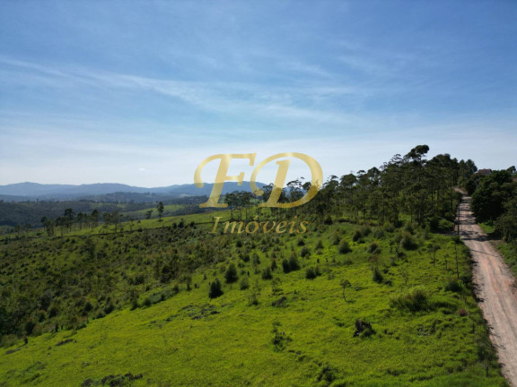 Imagem Imóvel Comercial à Venda, 380.000 m² em Terra Preta - Mairiporã Imagem Imóvel Comercial à Venda, 380.000 m² em Terra Preta - Mairiporã