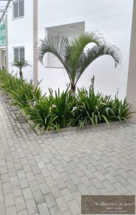 Imagem Apartamento com 2 Quartos à Venda, 70 m² em Várzea Do Ranchinho - Camboriú Imagem Apartamento com 2 Quartos à Venda, 70 m² em Várzea Do Ranchinho - Camboriú