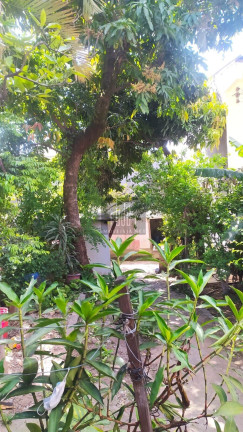 Imagem Terreno à Venda, 388 m² em Vila Pindorama - Barueri Imagem Terreno à Venda, 388 m² em Vila Pindorama - Barueri