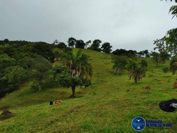 Imagem Fazenda à Venda, 26 m² em Zona Rural - Cromínia Imagem Fazenda à Venda, 26 m² em Zona Rural - Cromínia