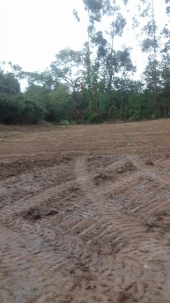 Imagem Imóvel com 1 Quarto à Venda, 8.177 m² em Tijuco Preto - Quadra