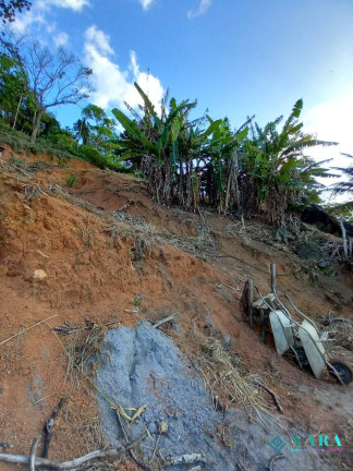 Imagem Terreno à Venda, 4.275 m² em Praia Grande - Ilhabela