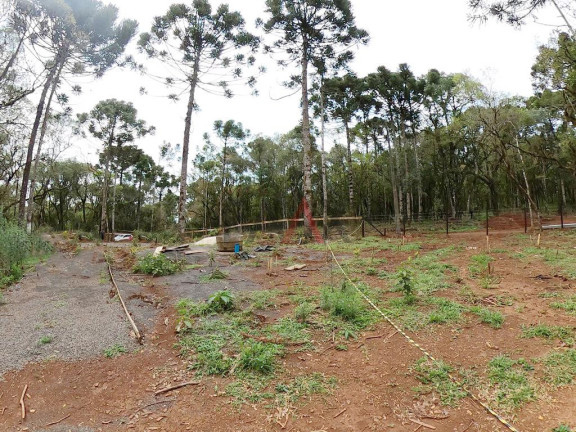 Imagem Fazenda à Venda, 20.000 m² em Jordão - Guarapuava Imagem Fazenda à Venda, 20.000 m² em Jordão - Guarapuava