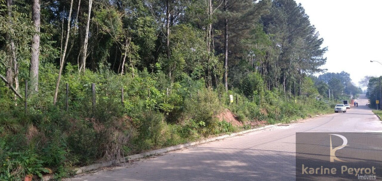 Imagem Terreno à Venda, 250 m² em Campestre - São Leopoldo