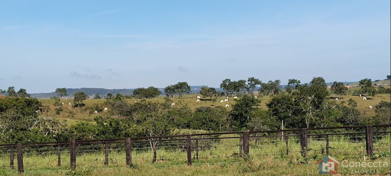 Imagem Imóvel à Venda, 8.080.000 m² em Centro - João Pinheiro
