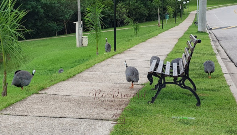 Imagem Terreno à Venda, 270 m² em Parque Ibiti Reserva - Sorocaba