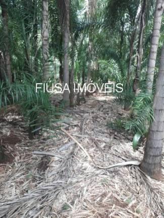 Imagem Imóvel com 4 Quartos à Venda, em Rural - Rifaina Imagem Imóvel com 4 Quartos à Venda, em Rural - Rifaina