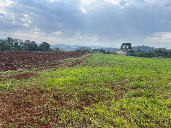 Imagem Terreno à Venda, 30.000 m² em Rural - Concórdia Imagem Terreno à Venda, 30.000 m² em Rural - Concórdia